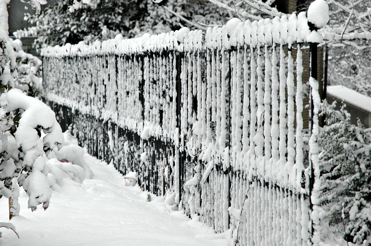 fence winter snow free photo