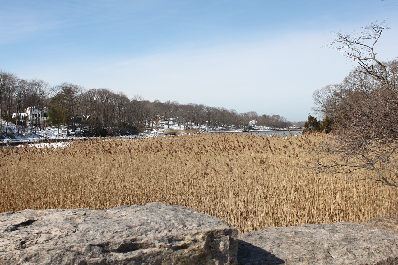 winter ocean landscape free photo