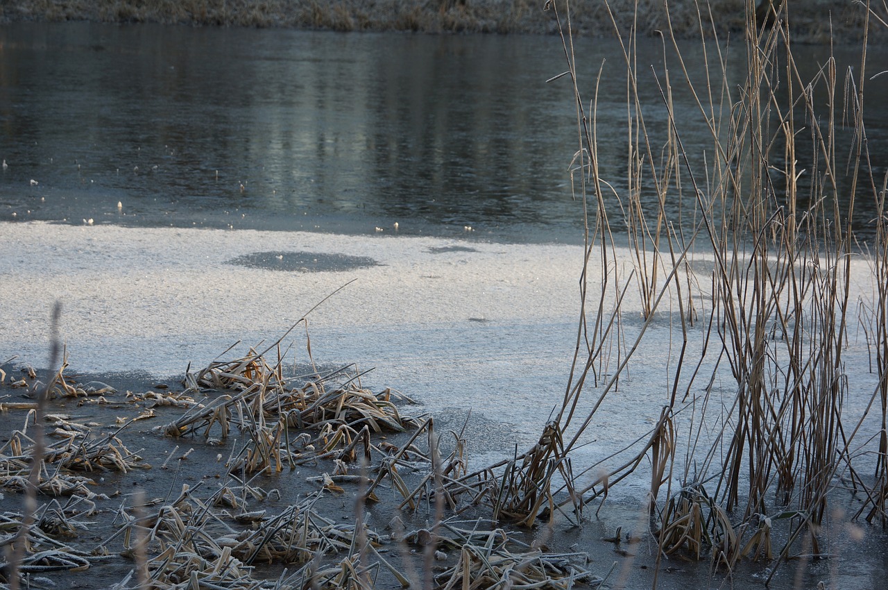 winter lake frost free photo