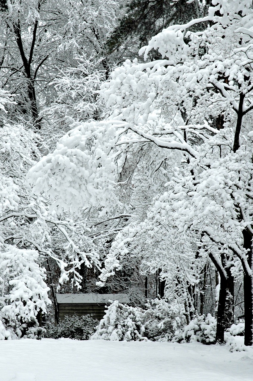 winter snow cabin free photo