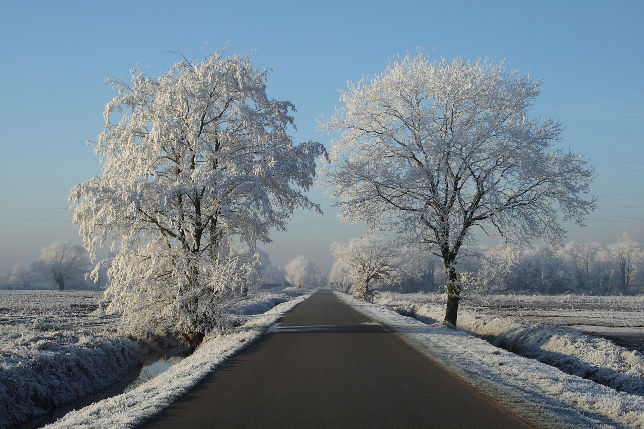 winter snow freezing free photo