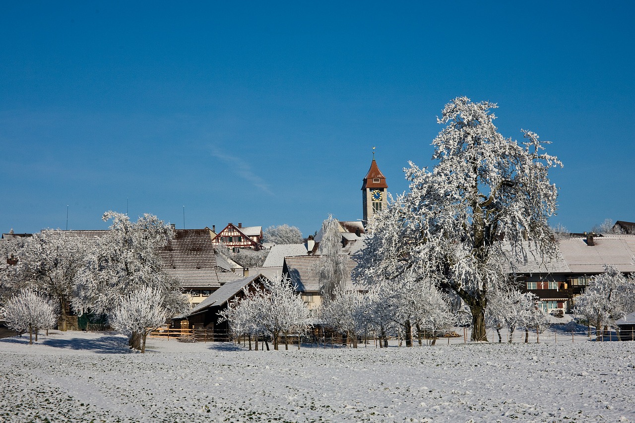 winter snow trees free photo