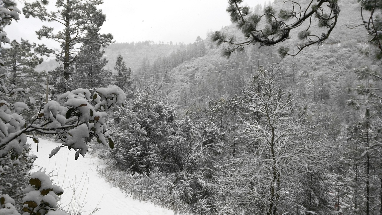 winter landscape snow free photo