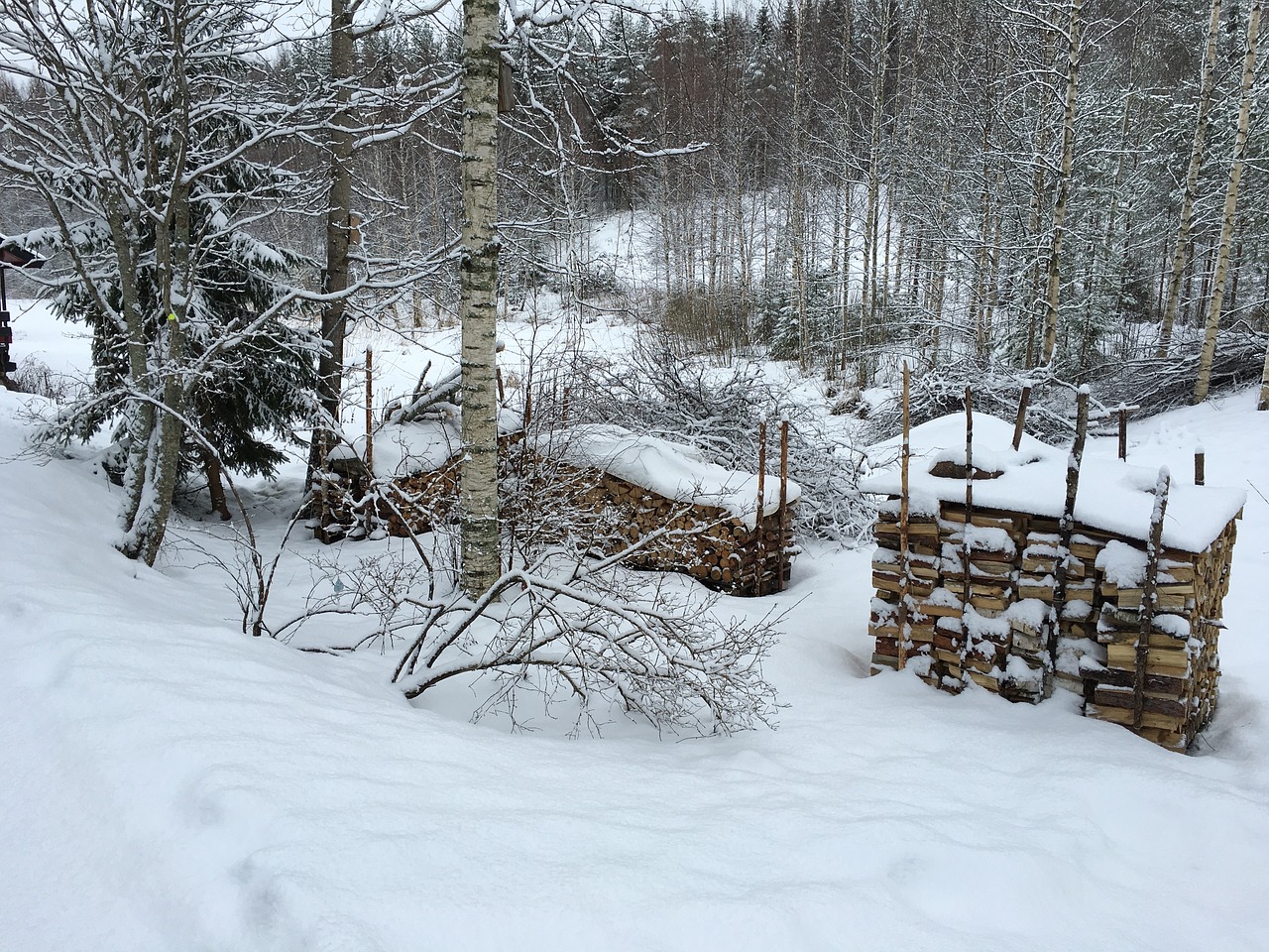 winter woodpile frost free photo