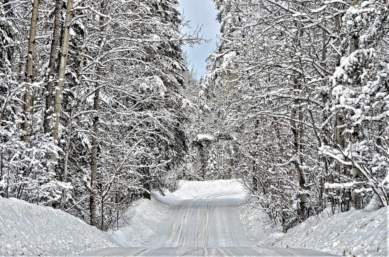 winter road rural free photo