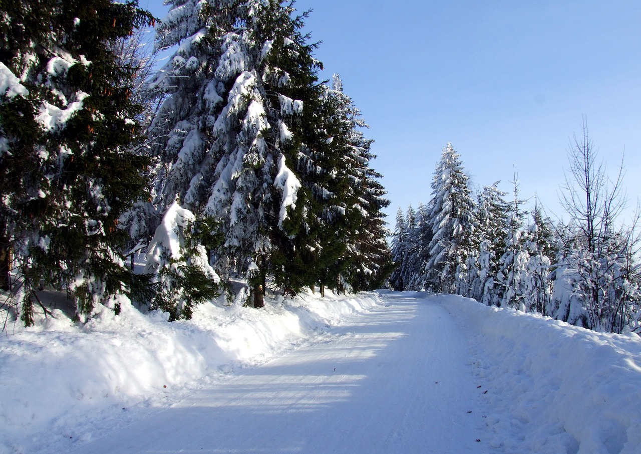 winter road snow free photo