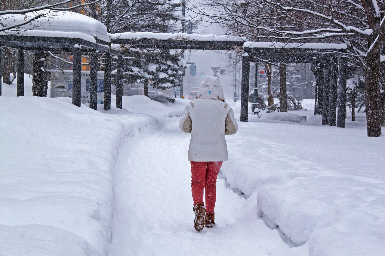 winter snow beautiful free photo