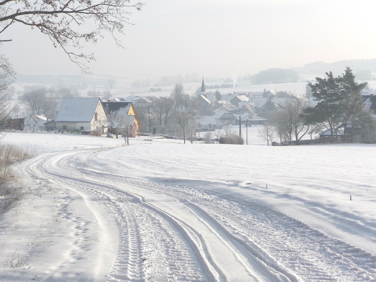 winter tracks in the snow snow free photo