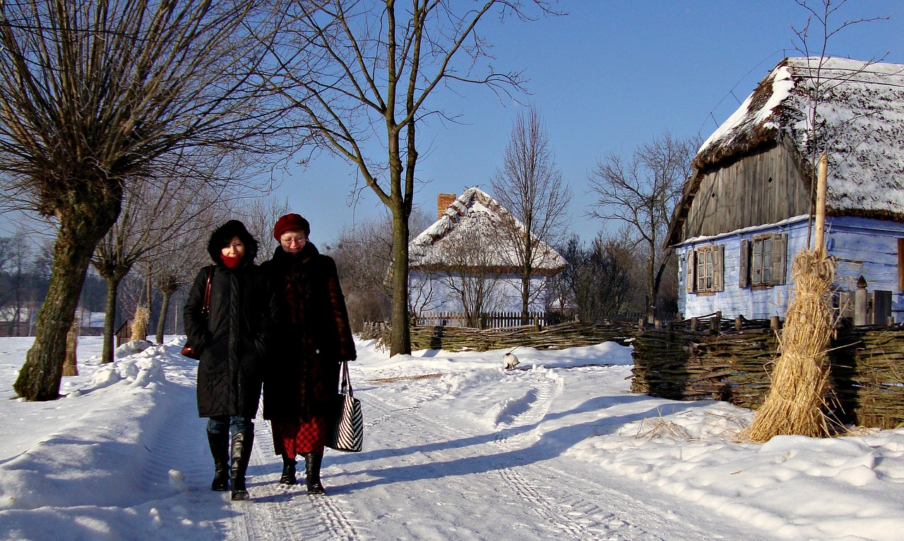 winter open air museum spacer free photo