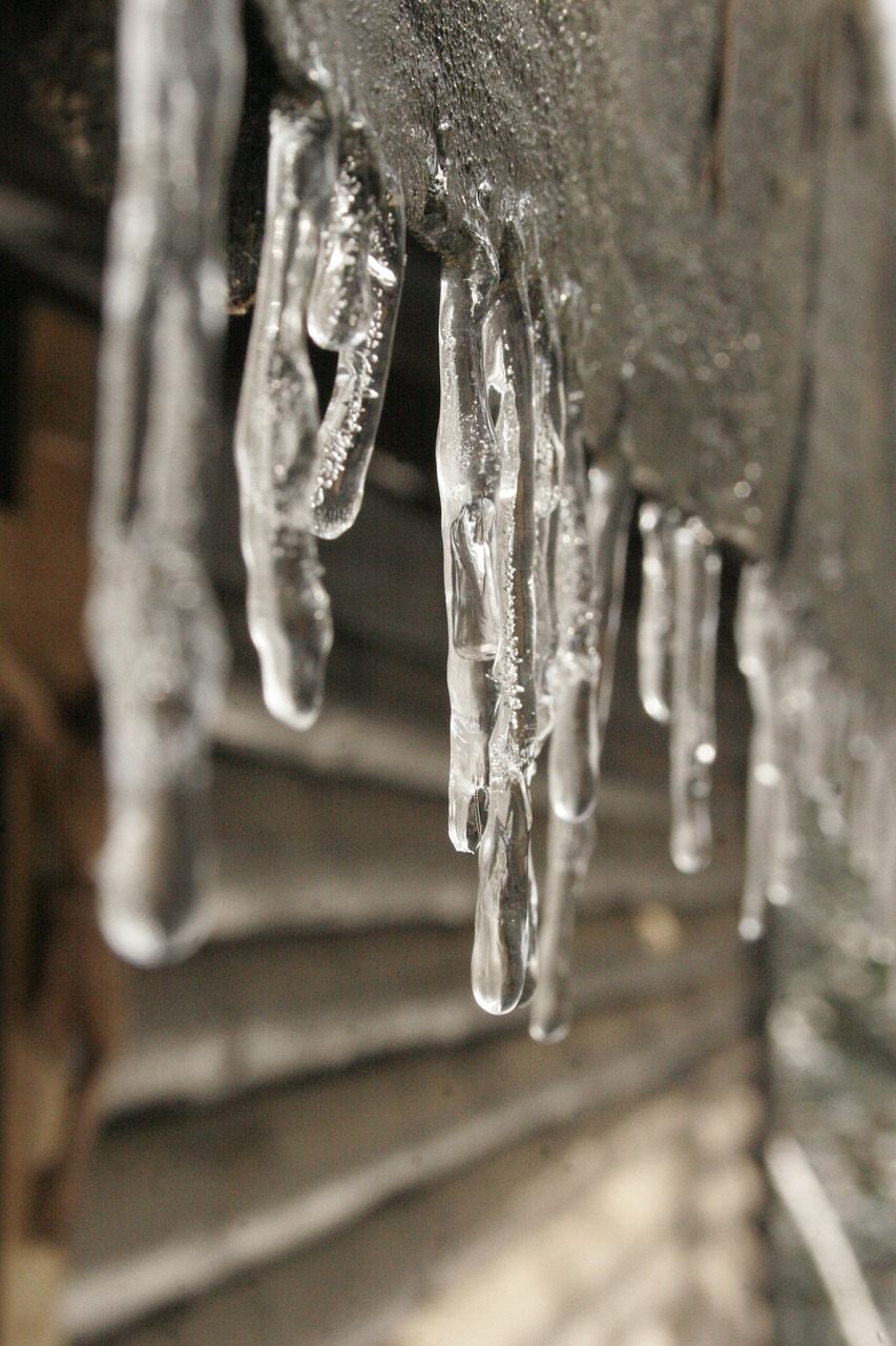 winter ice icicle free photo