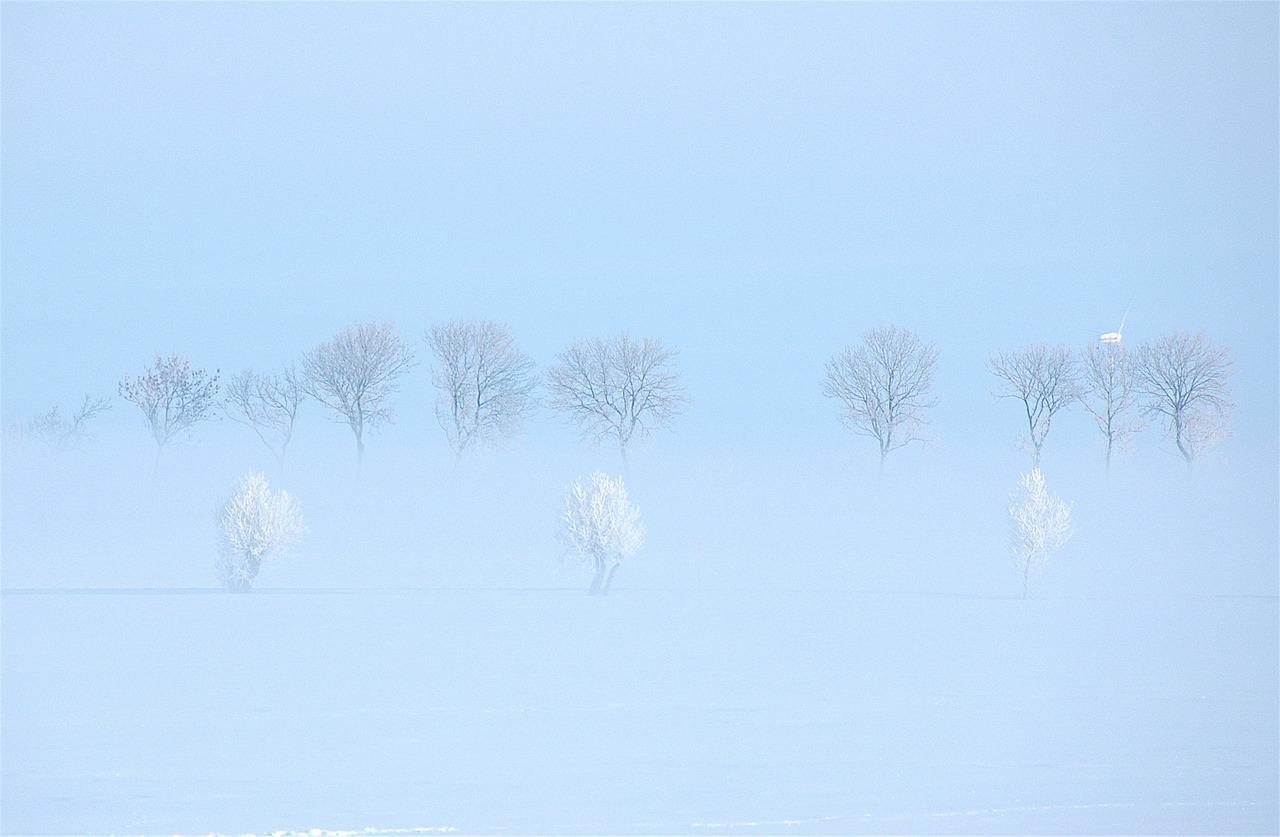 winter sweden snow free photo