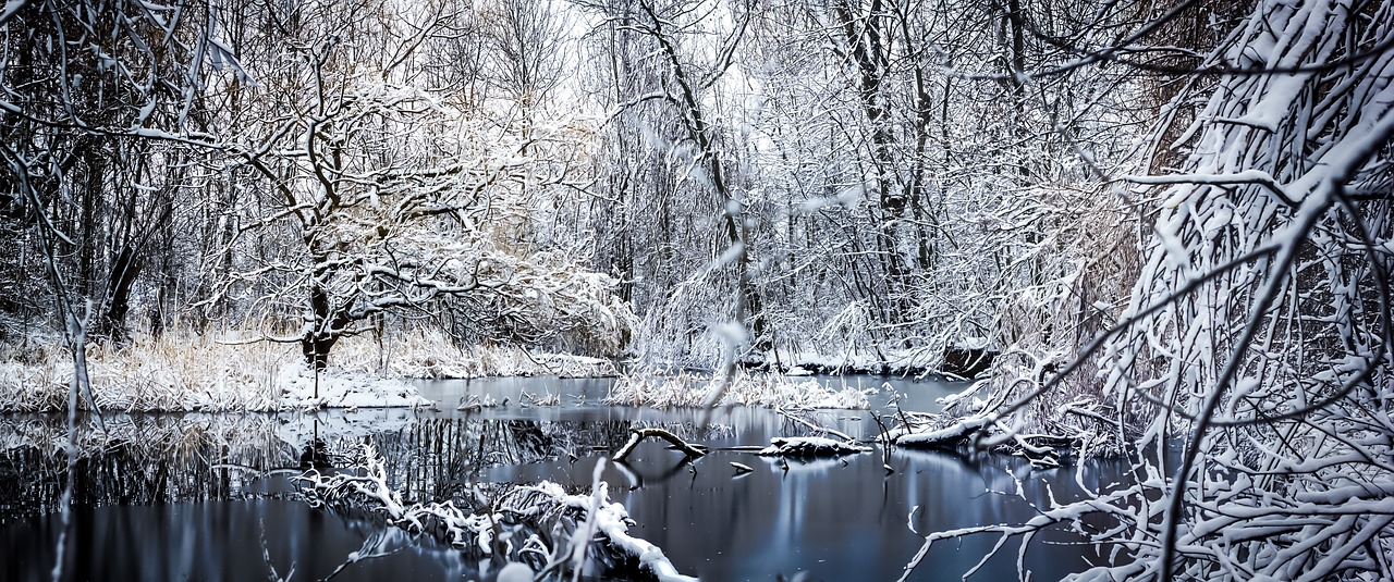 winter saxony snow free photo