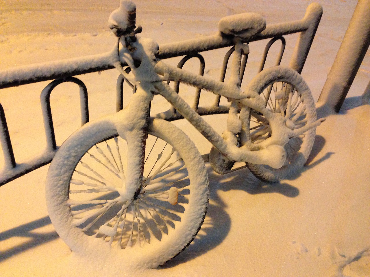 winter snow bike free photo