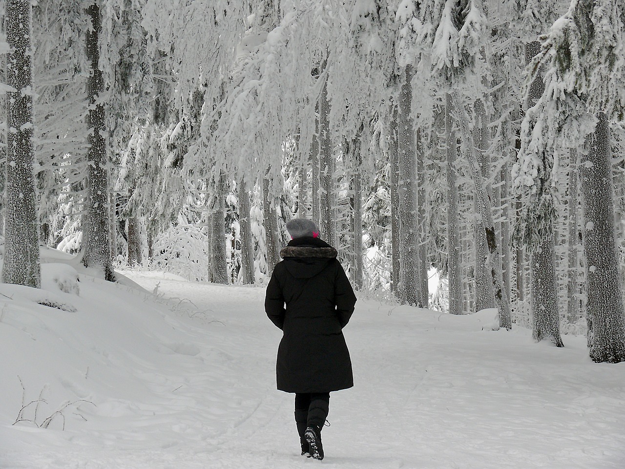 Идешь зимой по полю тишина. Тишина зимой. Прогулка в зимнем лесу. Тишина в зимнем лесу. Я В зимнем лесу.
