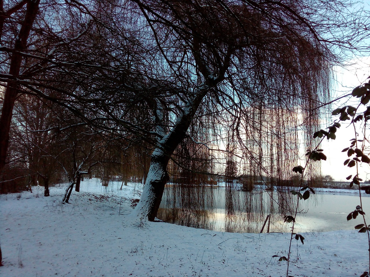 winter lake snow free photo