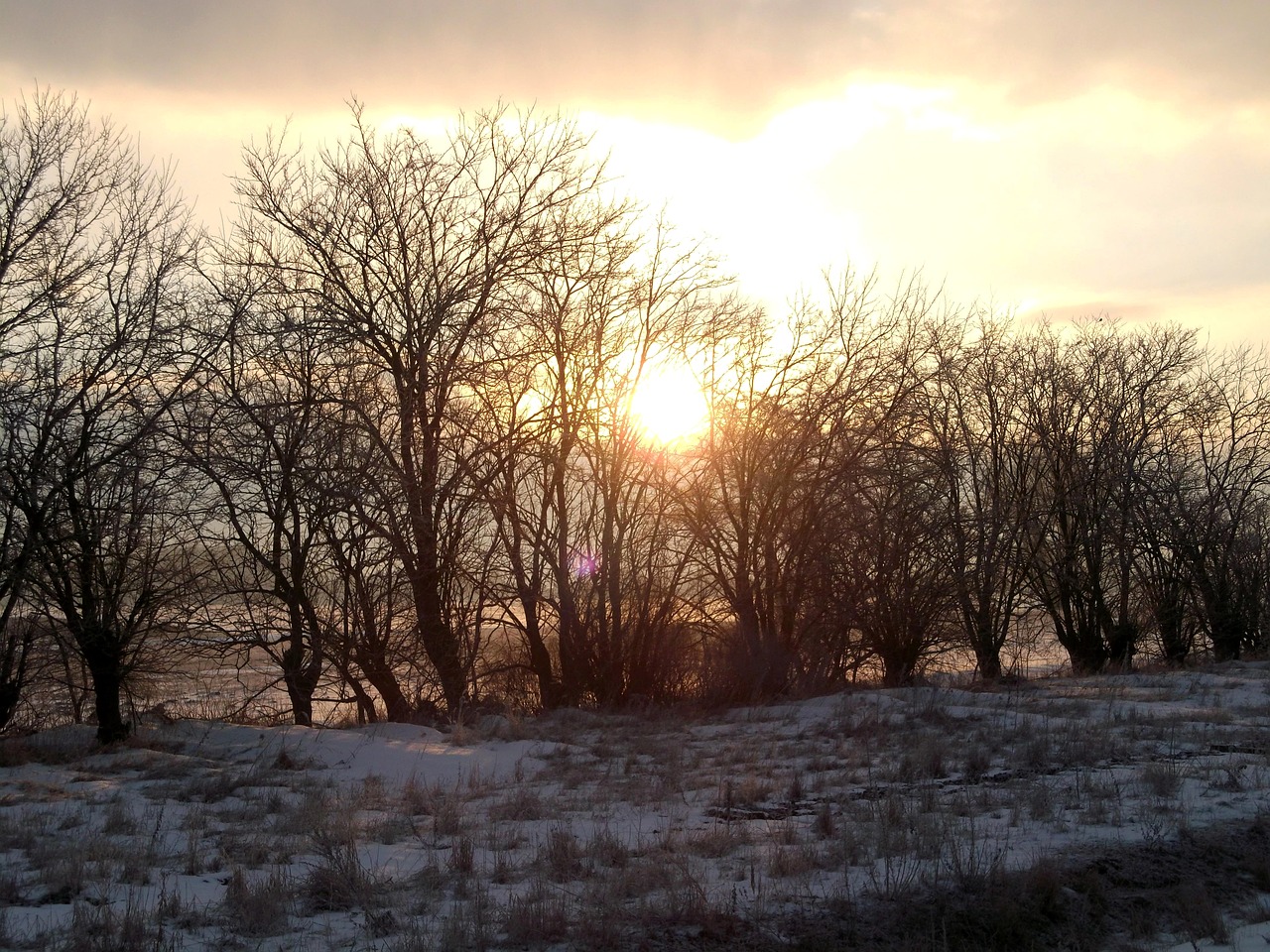 winter sunrise trees free photo