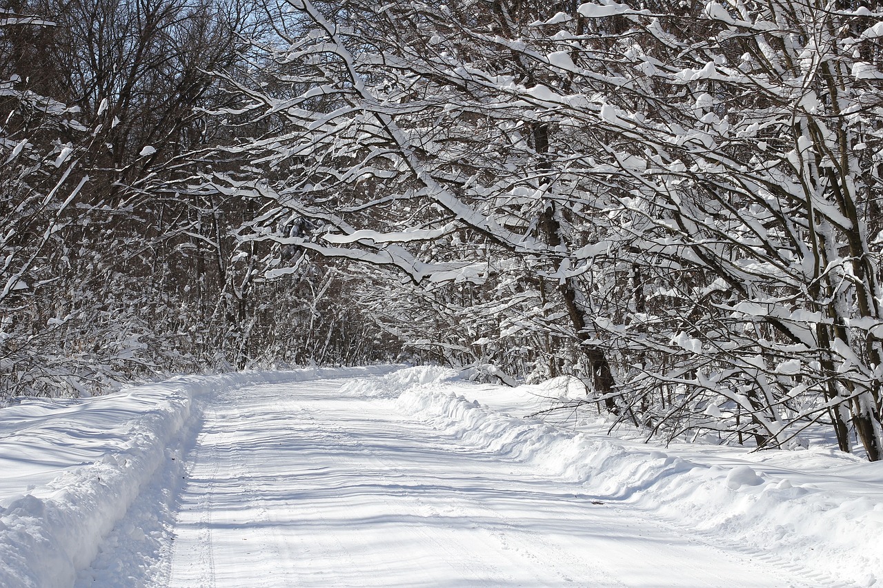 winter snow scenic free photo