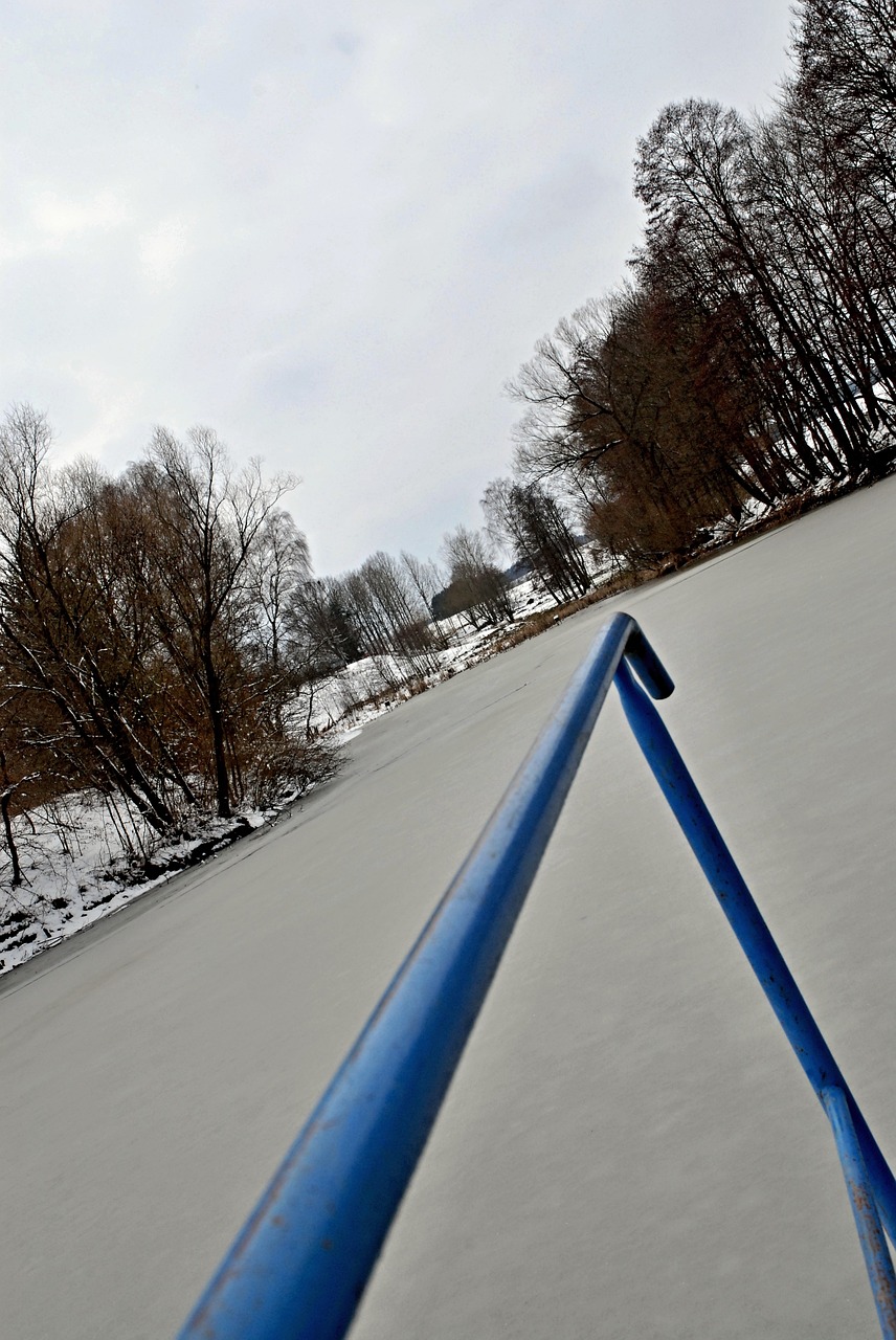 winter pond snow free photo