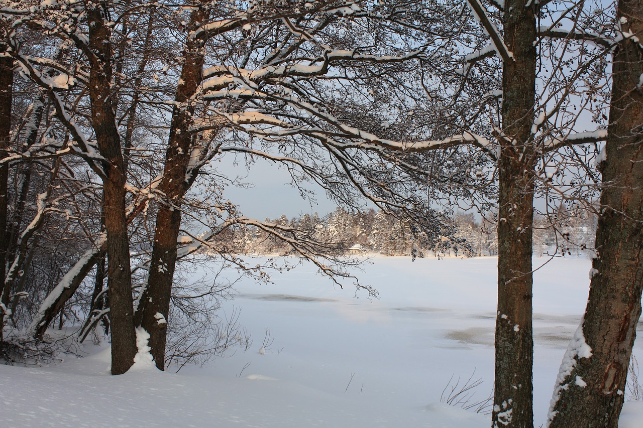 winter finland snow free photo