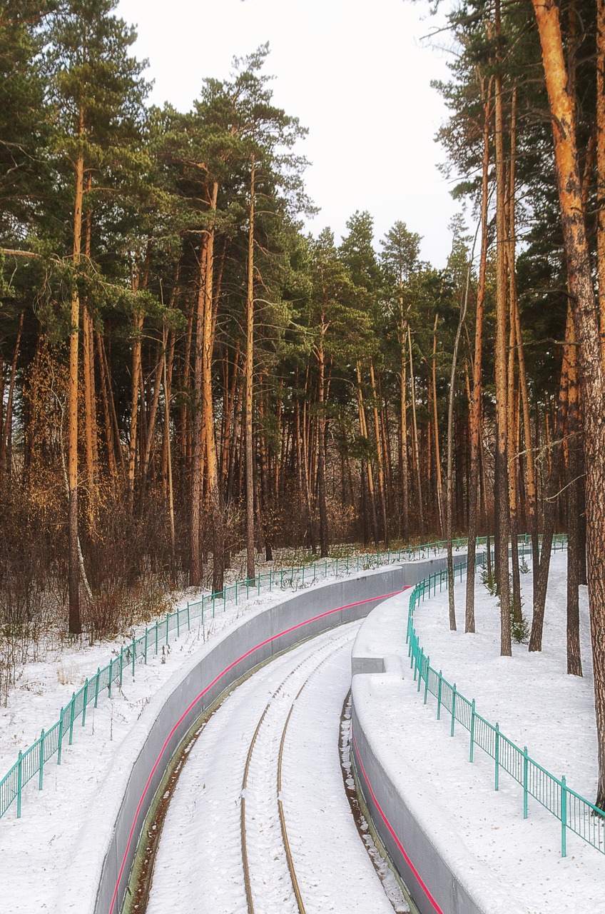winter forest railway free photo