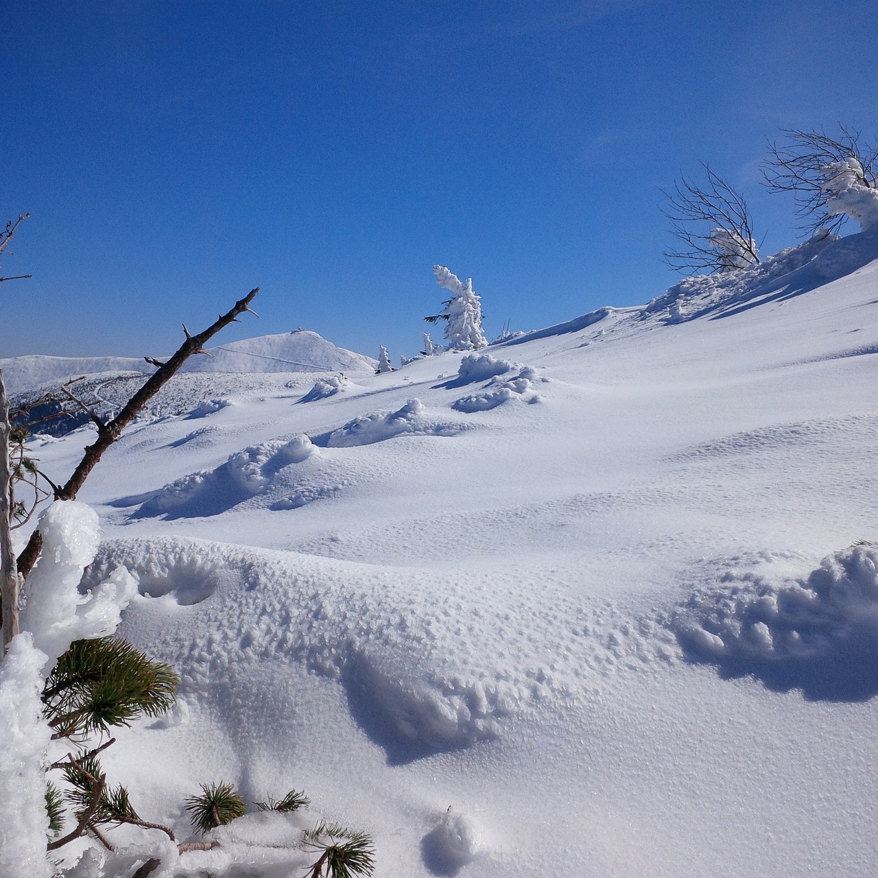 winter krkonoše giant mountains snow free photo