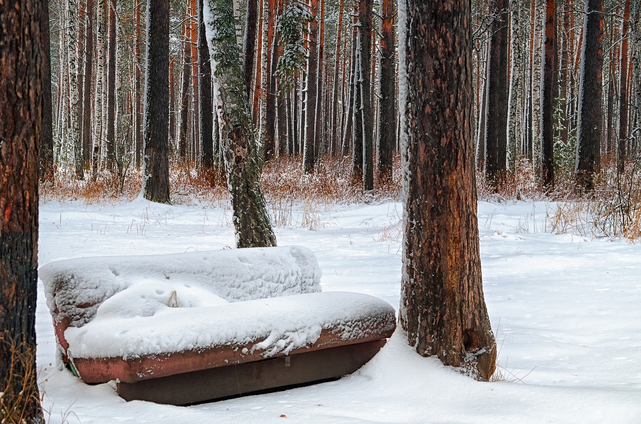 winter sofa forest free photo