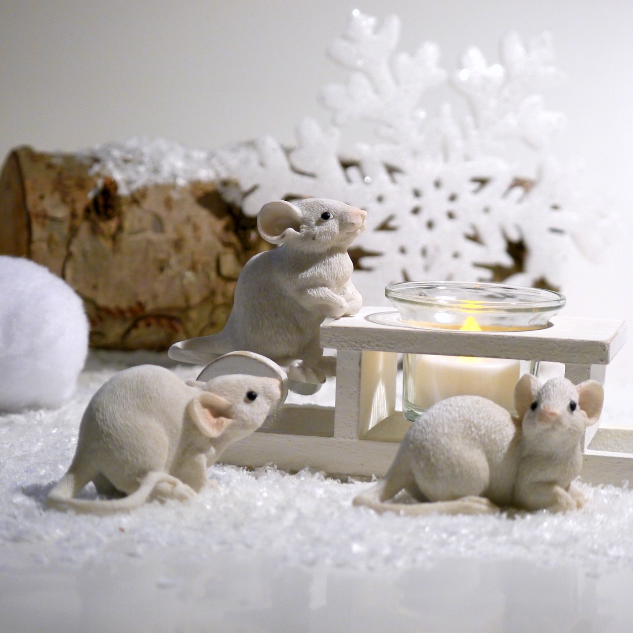 winter mouse advent free photo
