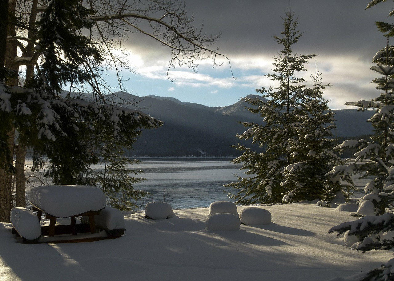 winter scenery canim lake free photo