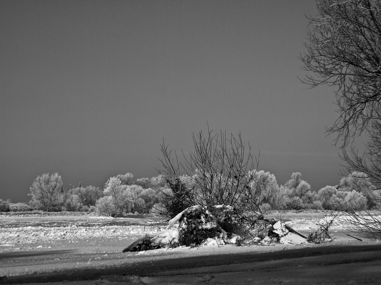 winter elbe ice floes free photo