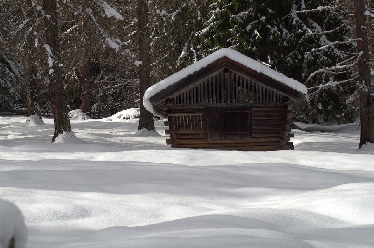 winter snow wintry free photo