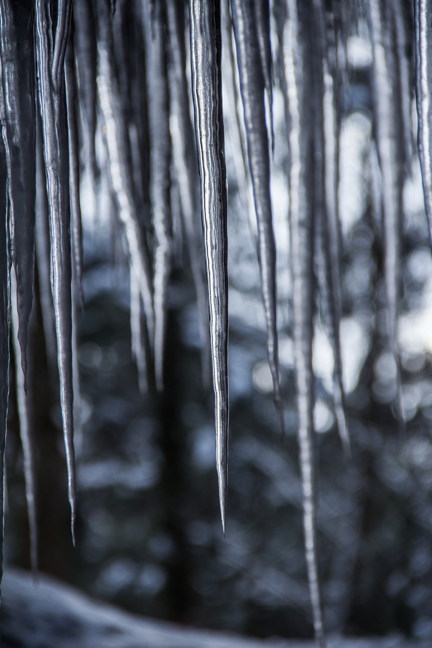 winter icicle ice free photo