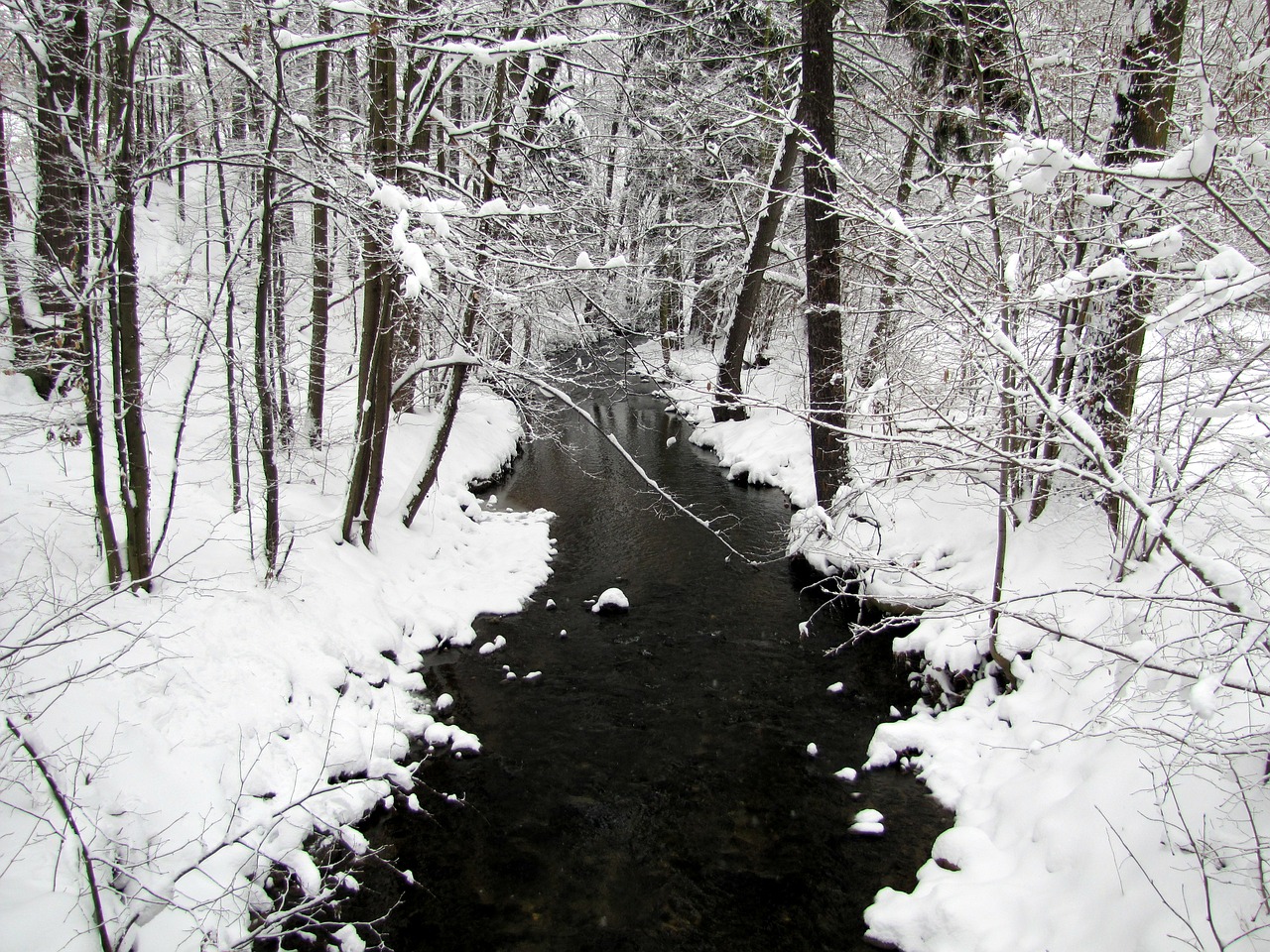 winter landscape white free photo