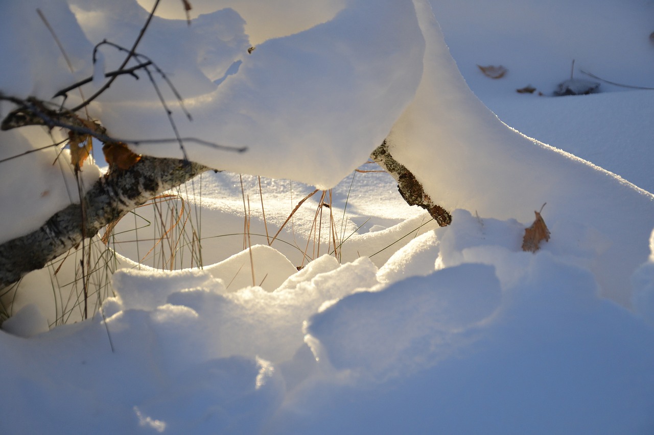 winter sunbeam snow free photo