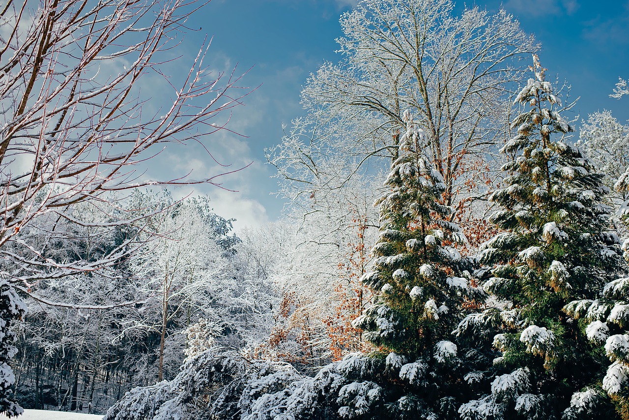 winter landscape scenic free photo