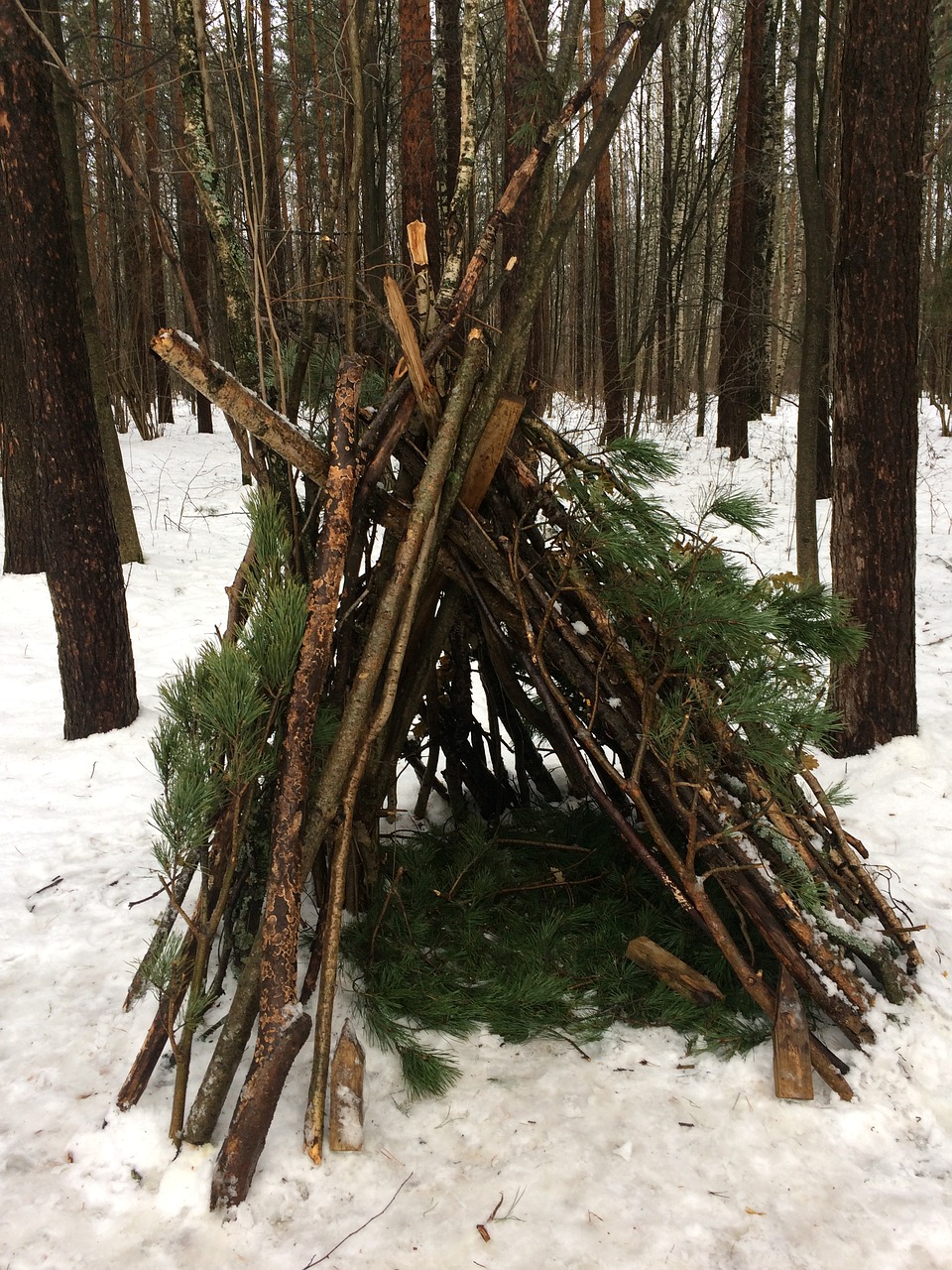 winter hut forest free photo