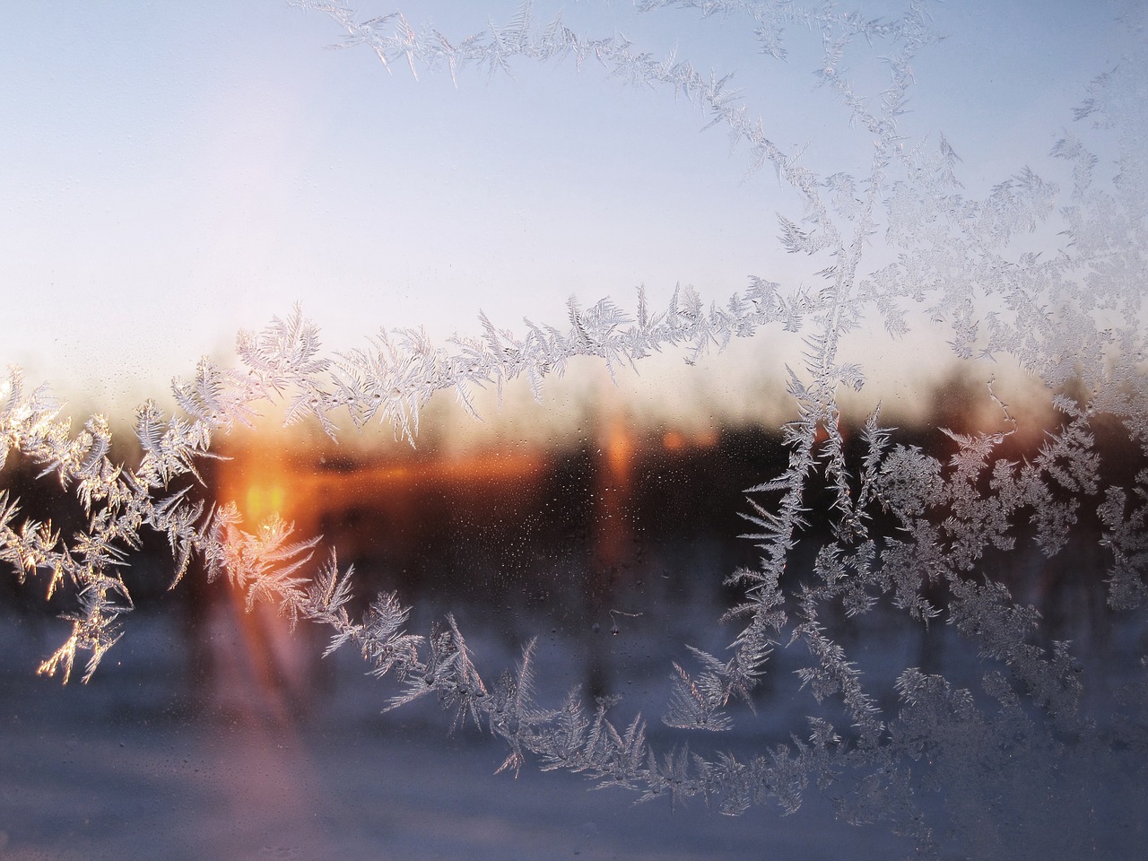 winter snow frost free photo