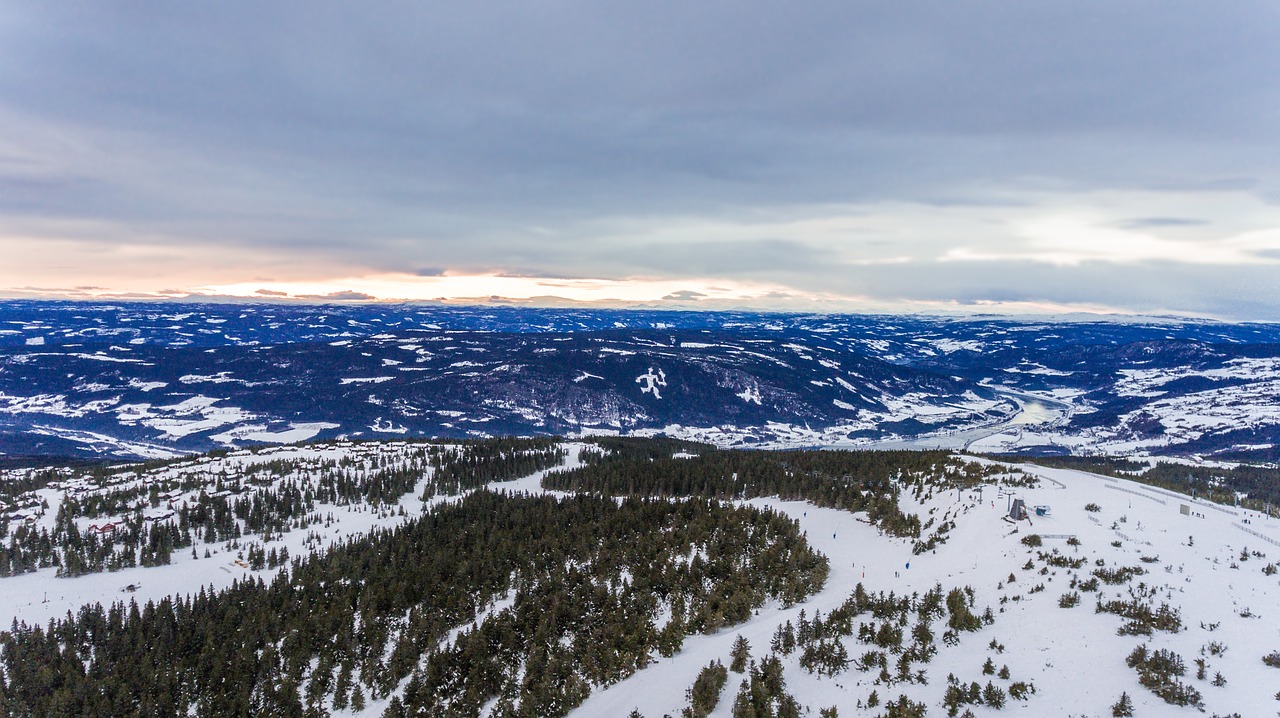 winter landscape aerial free photo