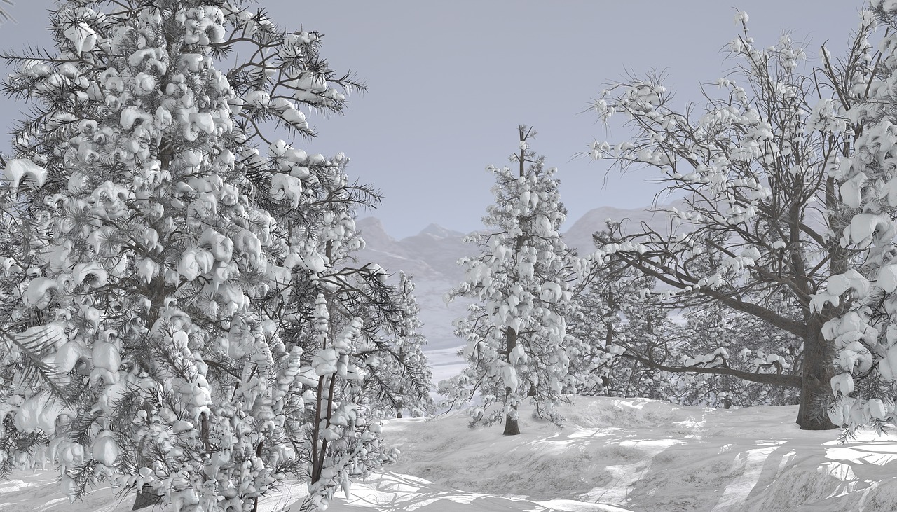 winter landscape snow free photo