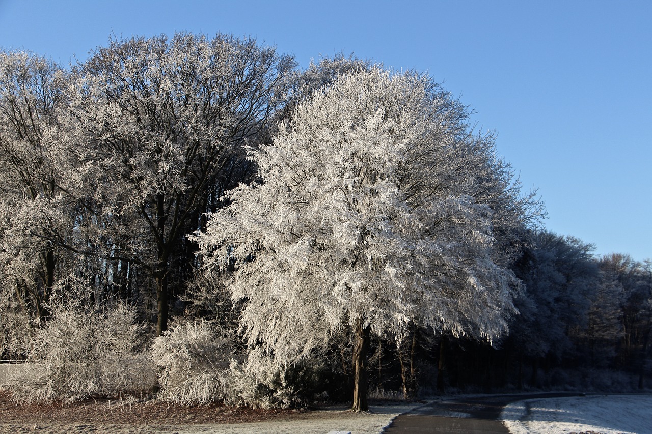 winter landscape away free photo