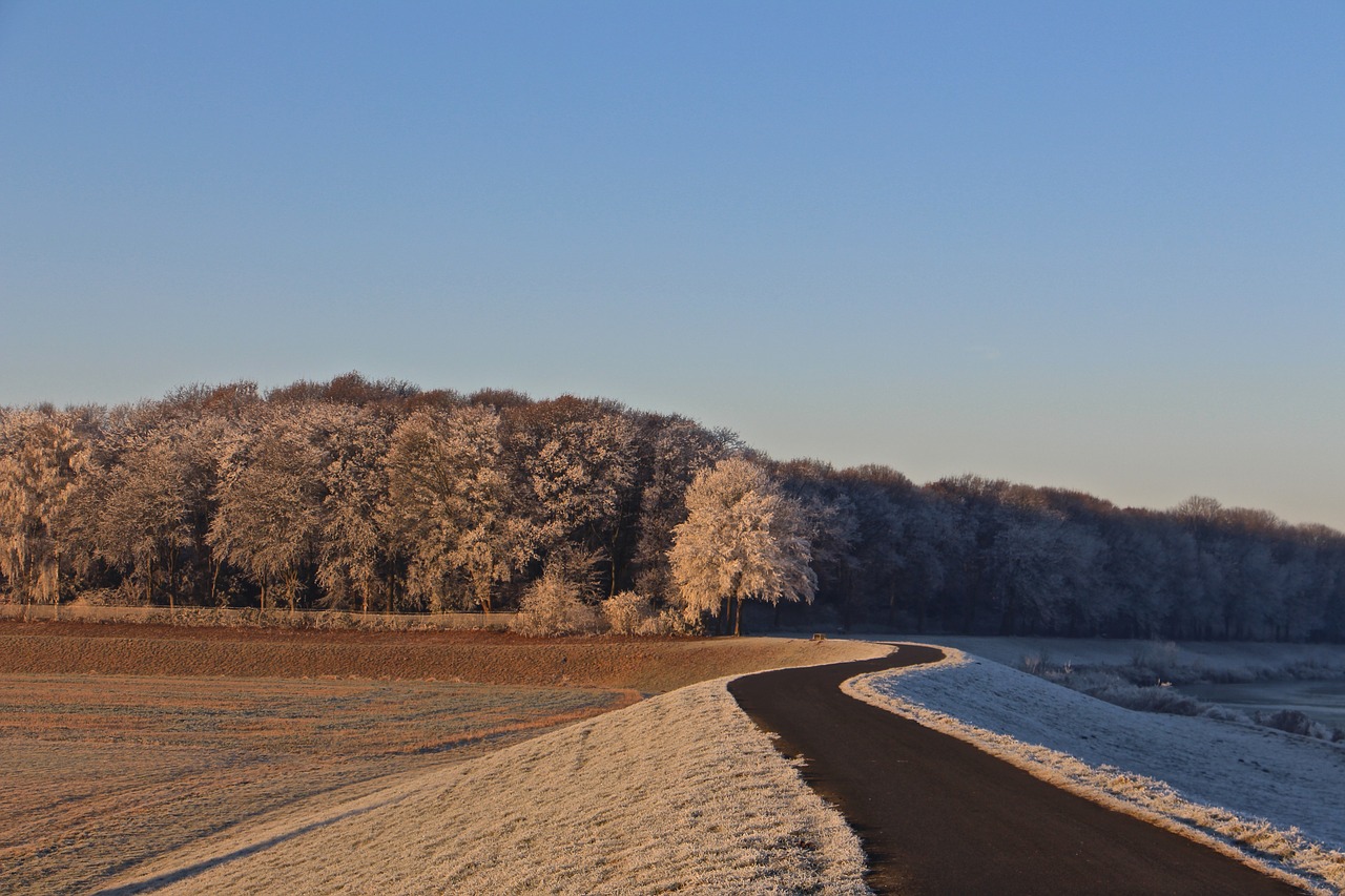 winter landscape away free photo