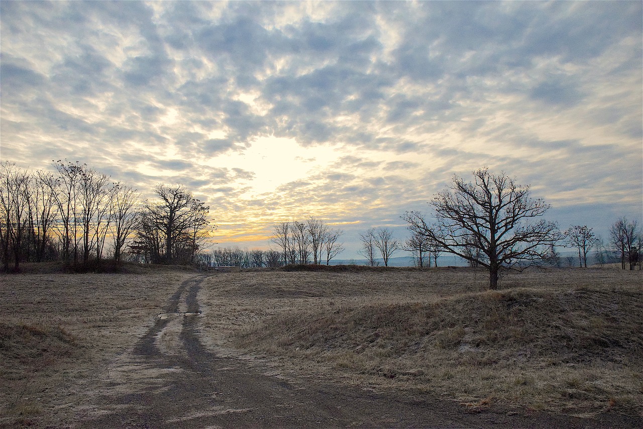 winter sunrise bright free photo