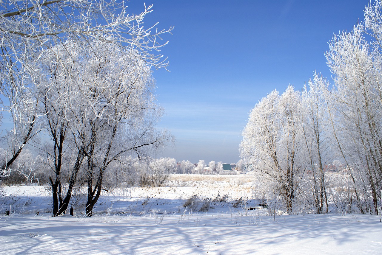 winter landscape snow free photo