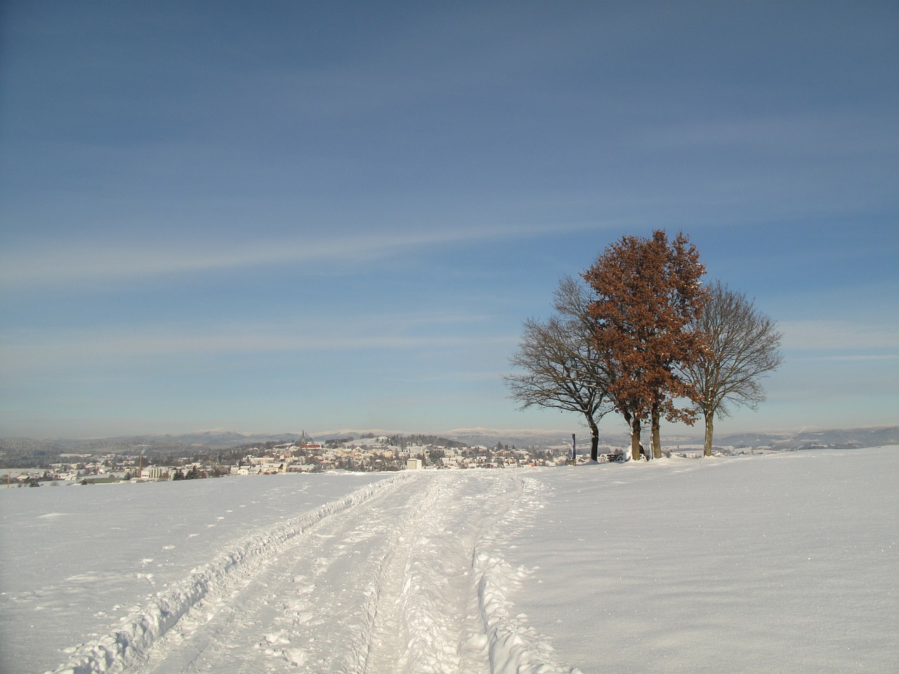 winter snowy snow free photo