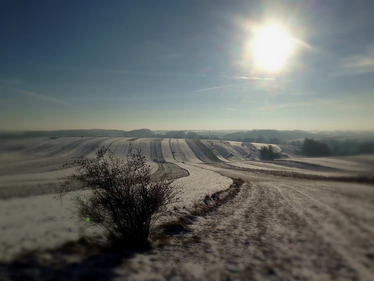 winter fields landscape free photo