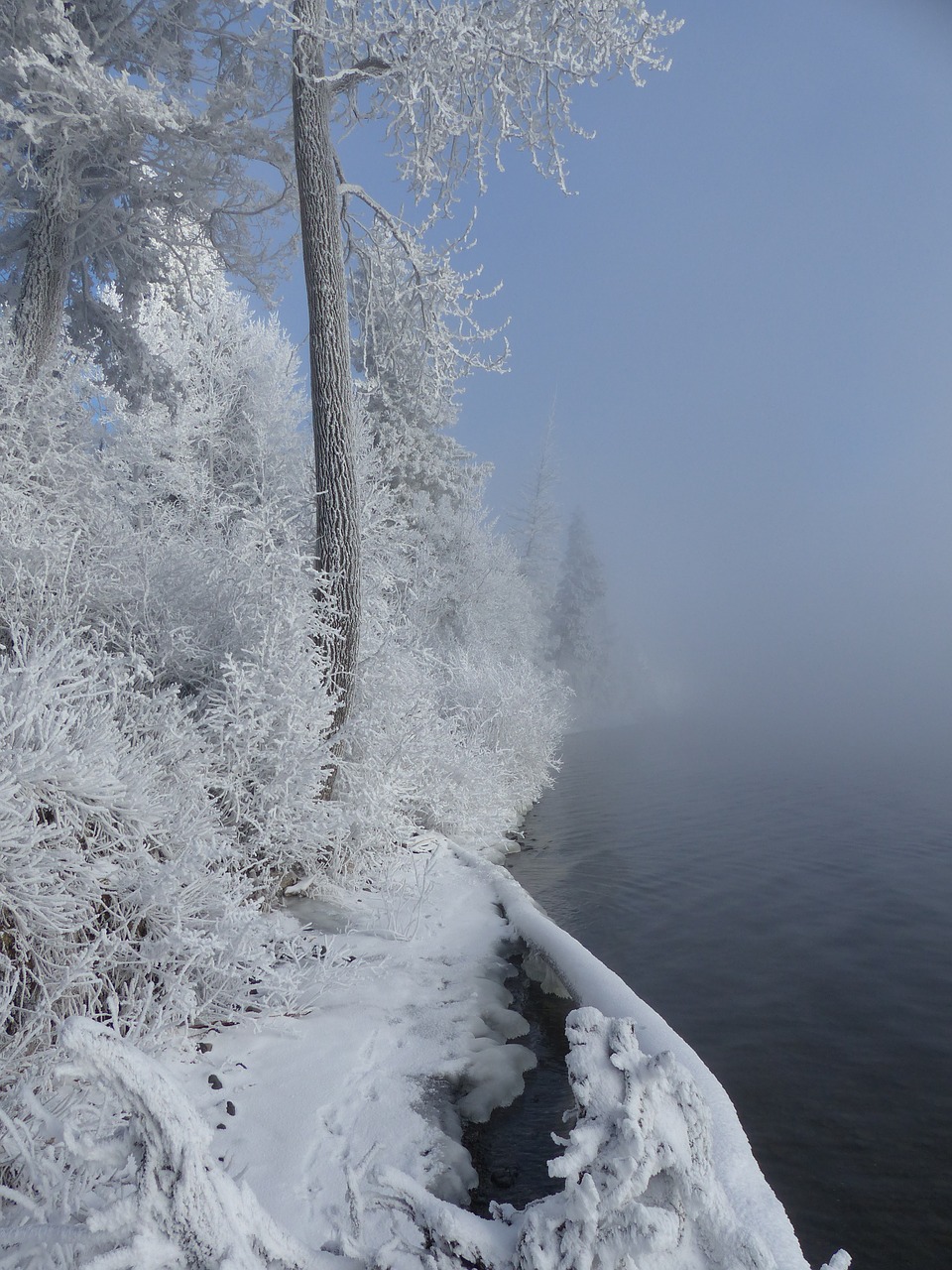 winter season snow free photo