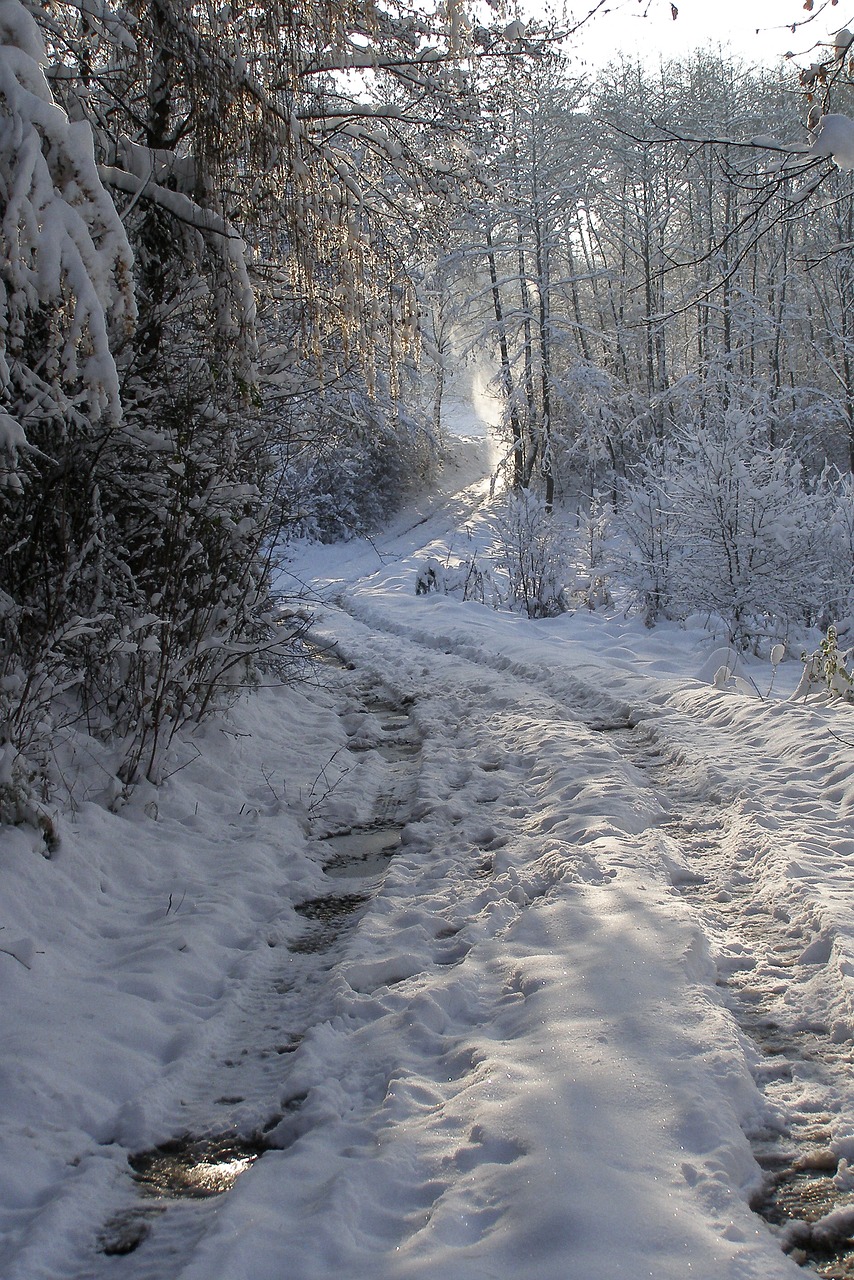 winter way snow free photo