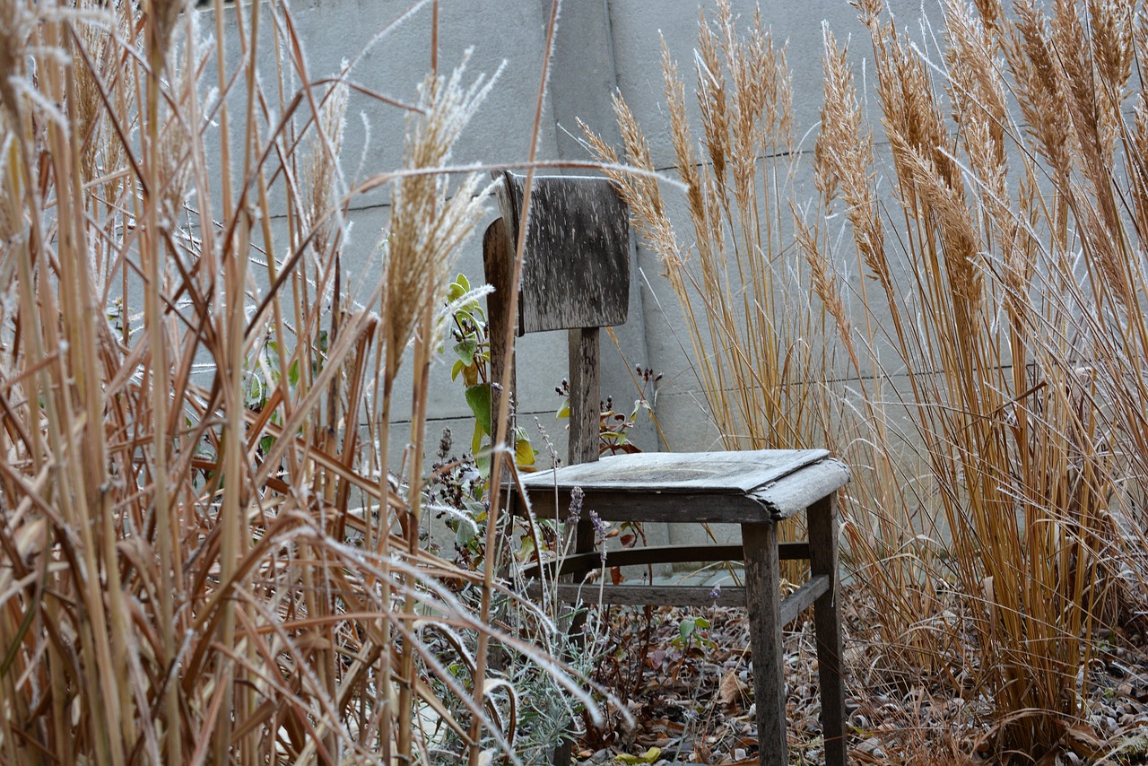 winter chair frost free photo