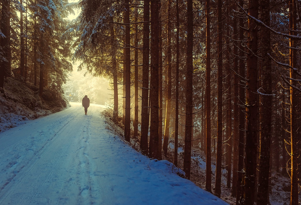 winter snow sunrise free photo