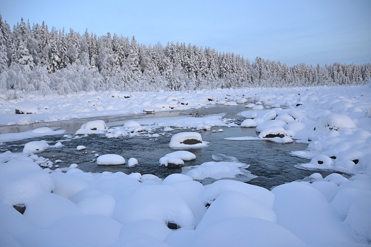 winter lapland sweden free photo