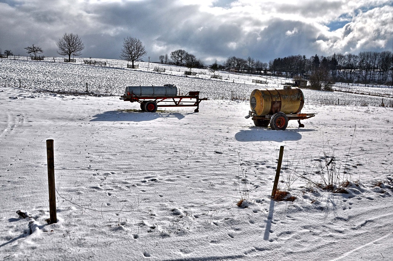 winter nature snow free photo